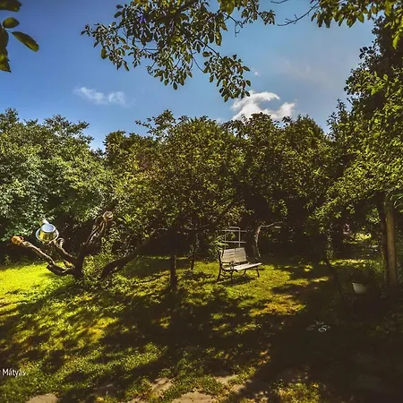 Videki Haz-orseg Penzion Kerkafalva